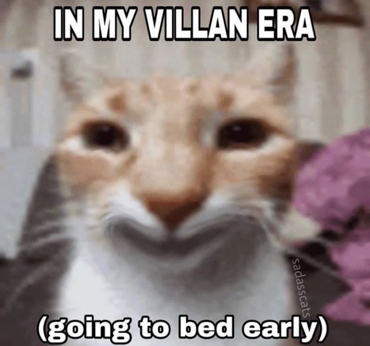 an orange and white cat with the caption in my villain era going to bed early