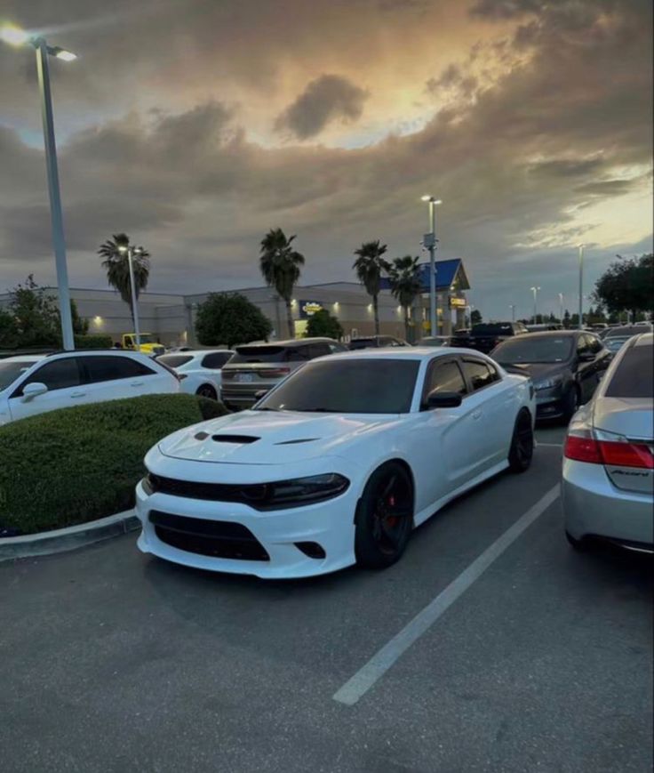 two white cars parked in a parking lot with palm trees and cloudy sky behind them