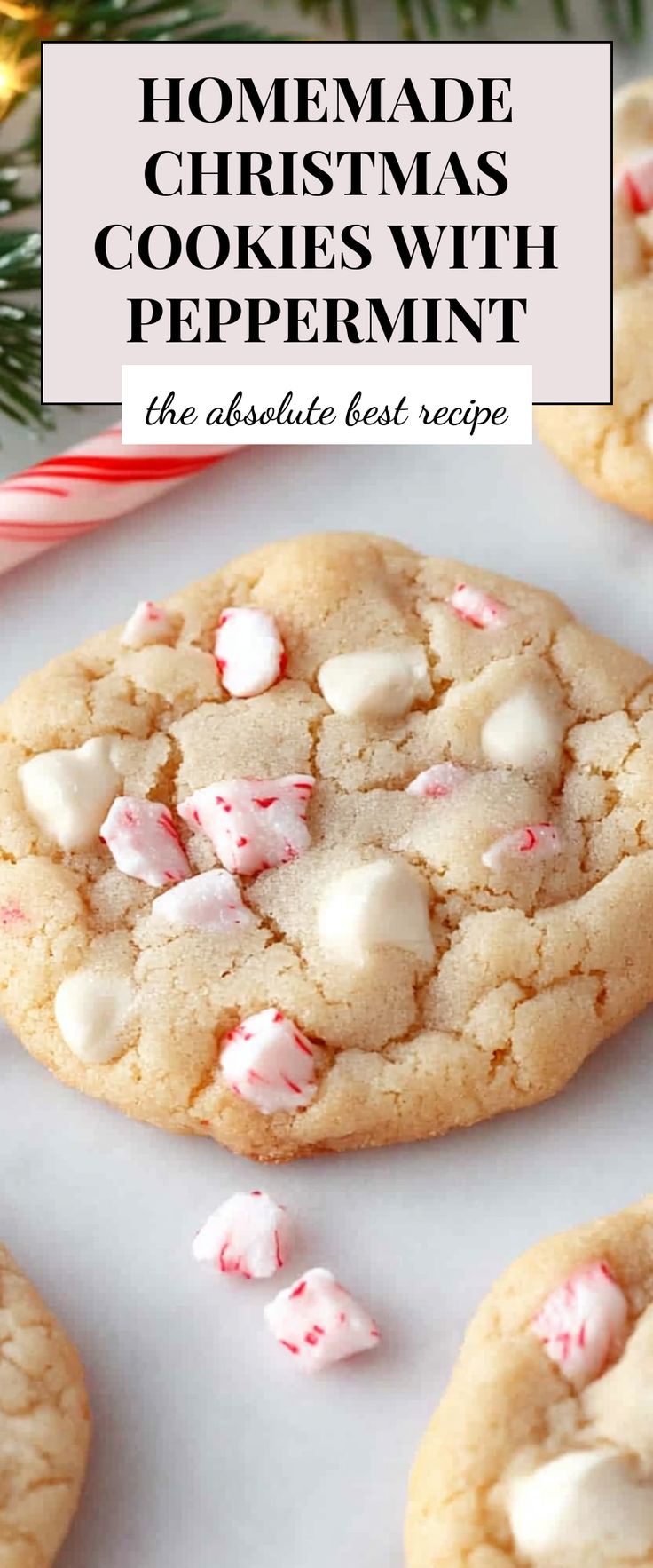 Image for Homemade Christmas Cookies with Peppermint Peppermint Pretzel Cookies, Peppermint Patties Cookies, Peppermint Frosted Cookies, Peppermint Stick Cookies, Easy Christmas Cookies Peppermint, Christmas Cookies With Peppermint, Peppermint Sugar Cookies Recipe, Peppermint Butter Cookies, Easy Peppermint Cookies