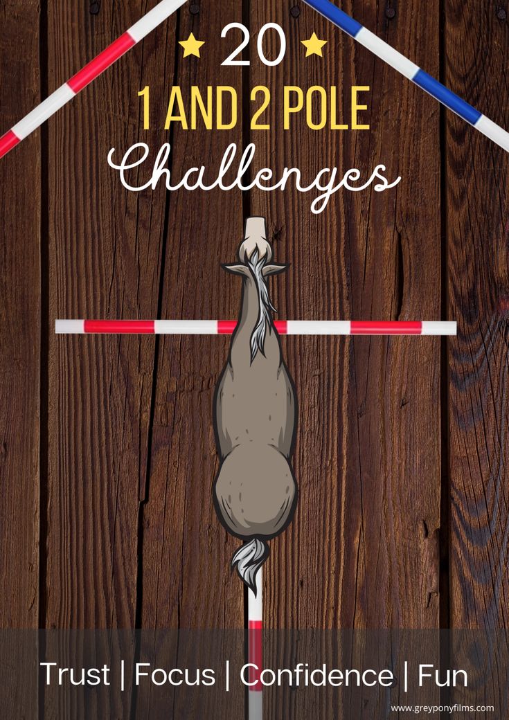 a poster with the words 20 and 2 pole challenges