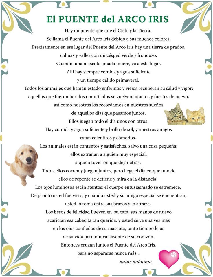 a poem written in spanish with an image of a dog and cat on the page