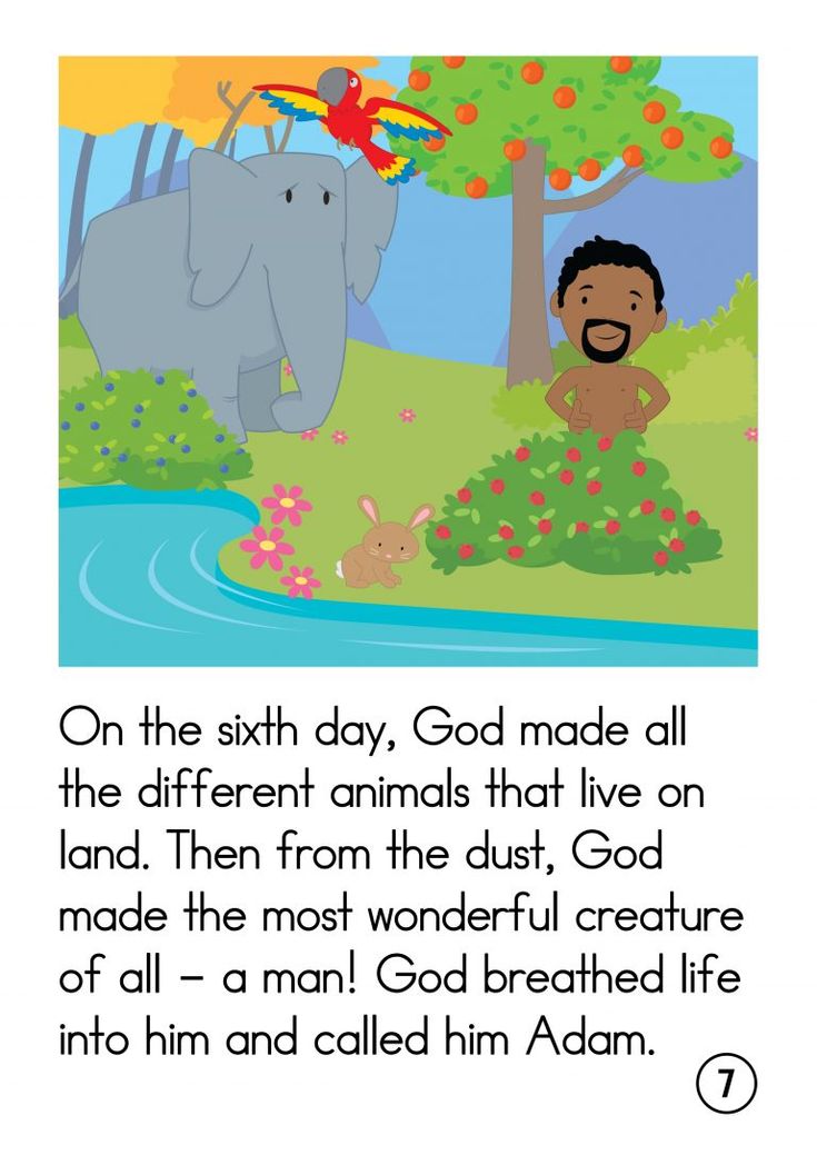 an elephant and a man are in the water with words on it that read, on the sixth day, god made all the different animals that live on land