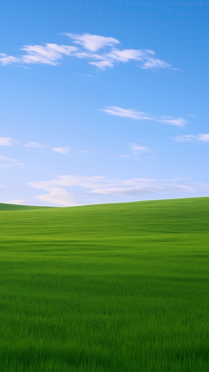 a green field with blue sky and clouds in the background