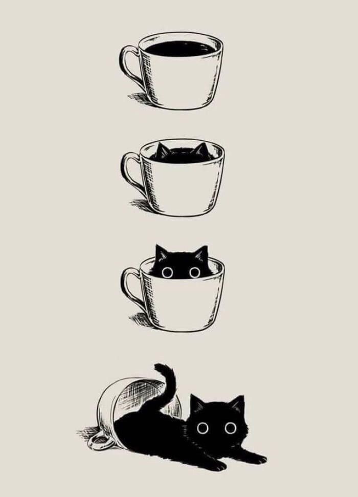 three coffee cups with cats sitting in them