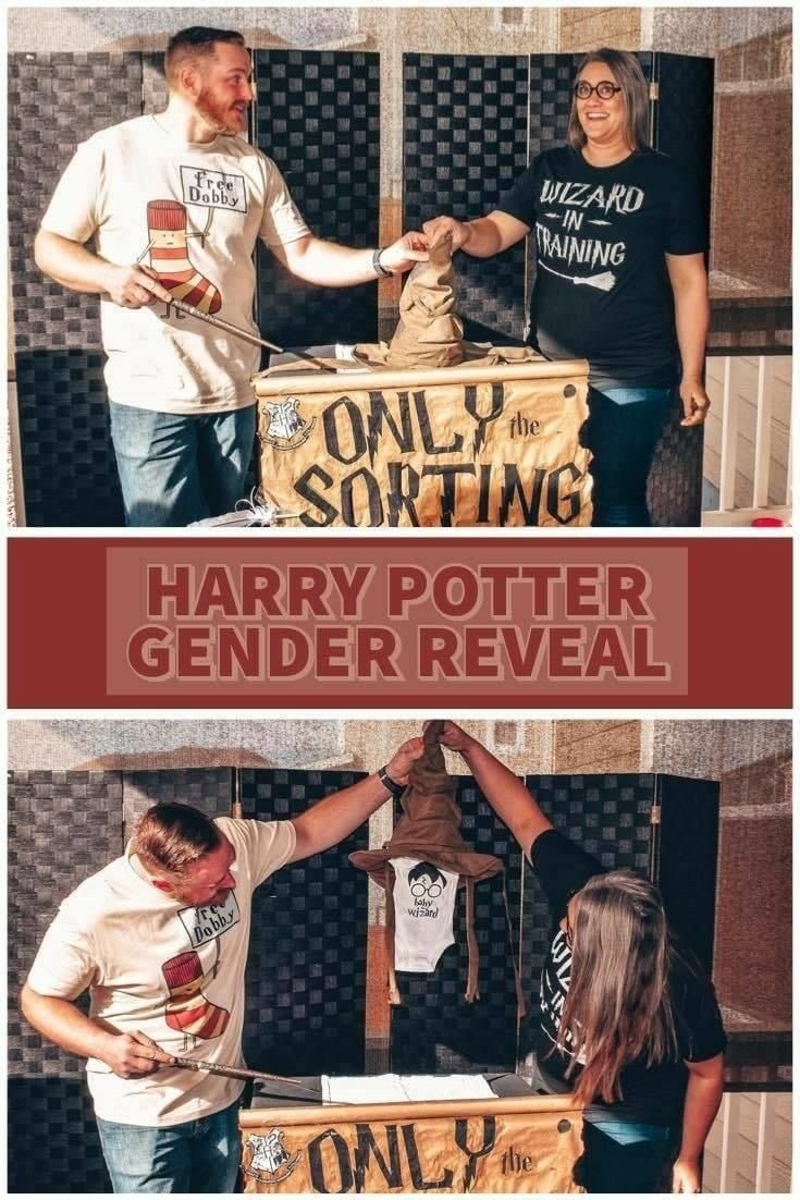 harry potter gender reveal at disneyland world