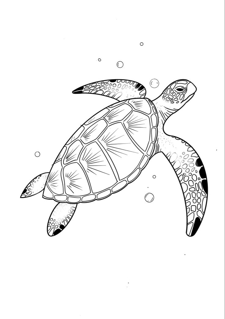 a black and white drawing of a turtle swimming in the ocean with bubbles on it's back