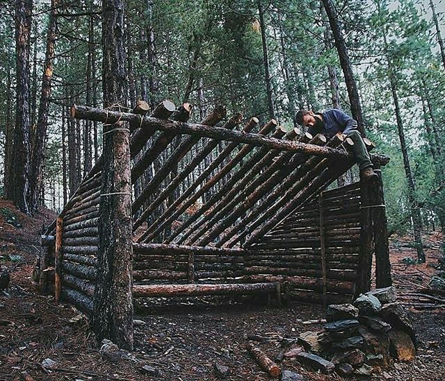 a man standing on top of a wooden structure in the woods