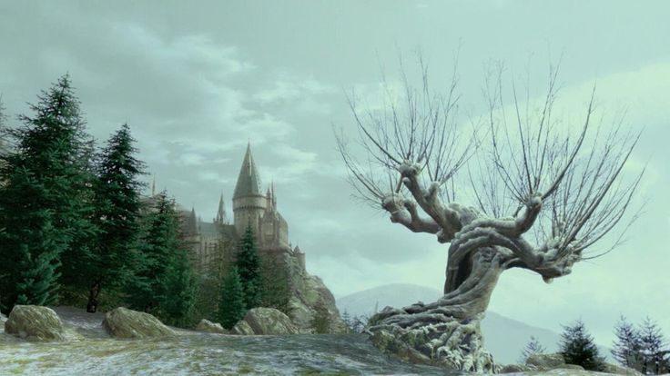 an image of a tree in front of a castle with the words whooping willow and no does it ever stop?