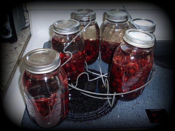 several jars filled with red liquid sitting on top of a counter next to each other