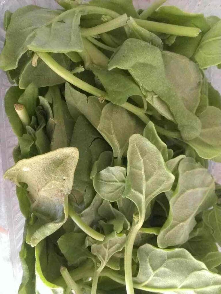 a pile of green leafy vegetables in a plastic container