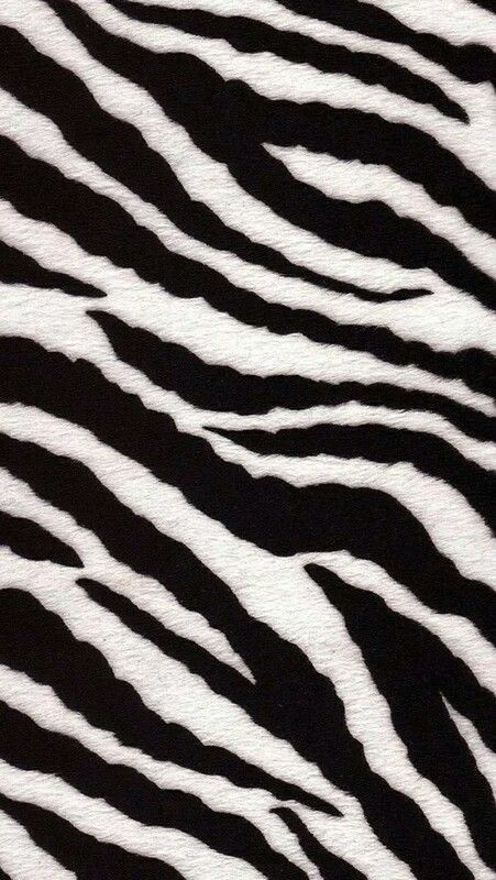 closeup of black and white zebra stripes on a fabric textured with cotton material