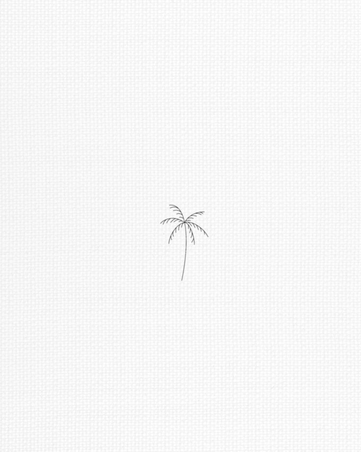 a single palm tree on a white background