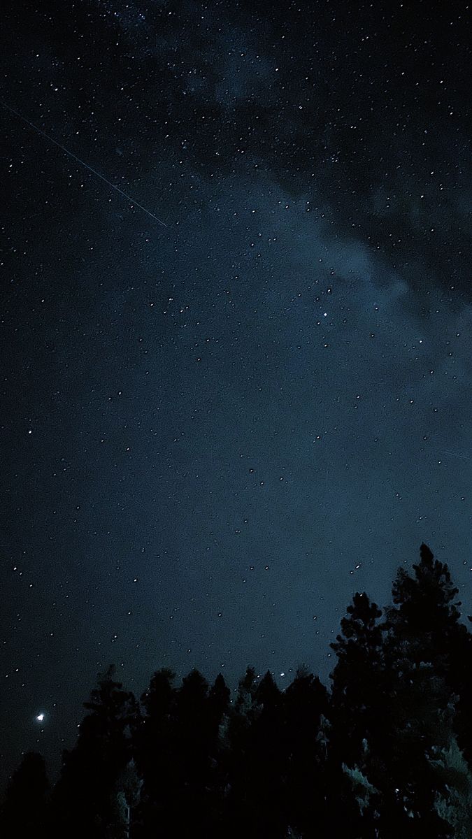 the night sky is filled with stars and some trees in the foreground, as well as an airplane streaking overhead