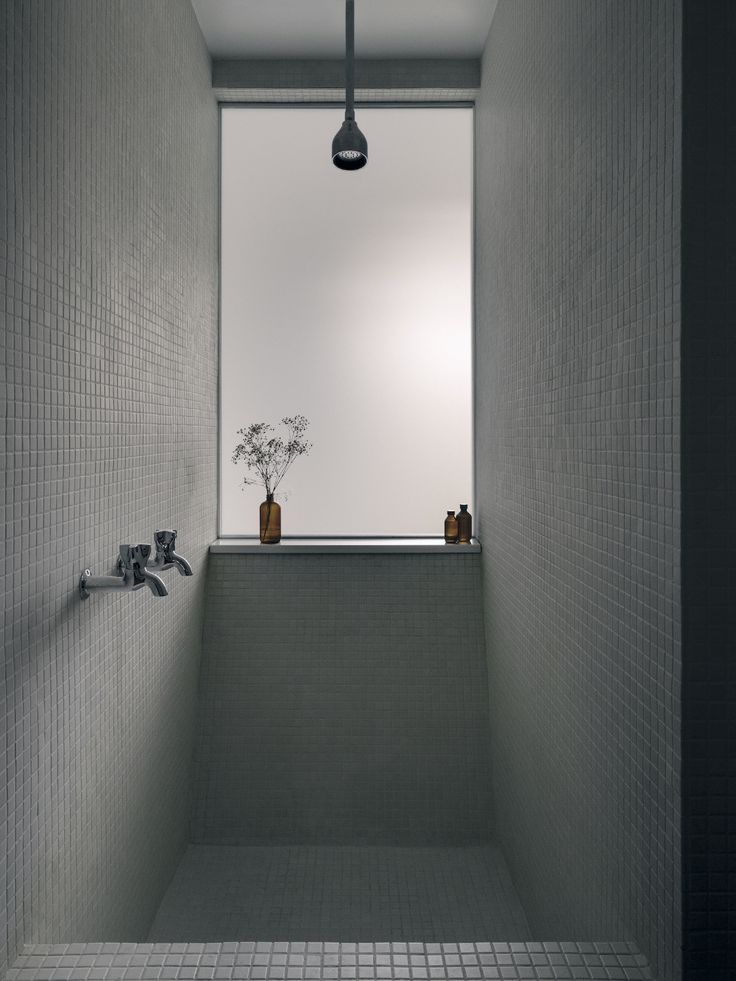 a white tiled bathroom with a plant in the window