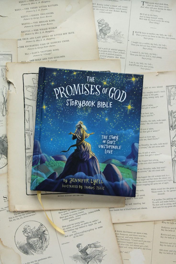 a book with the title'the proms of god textbook bible'on it