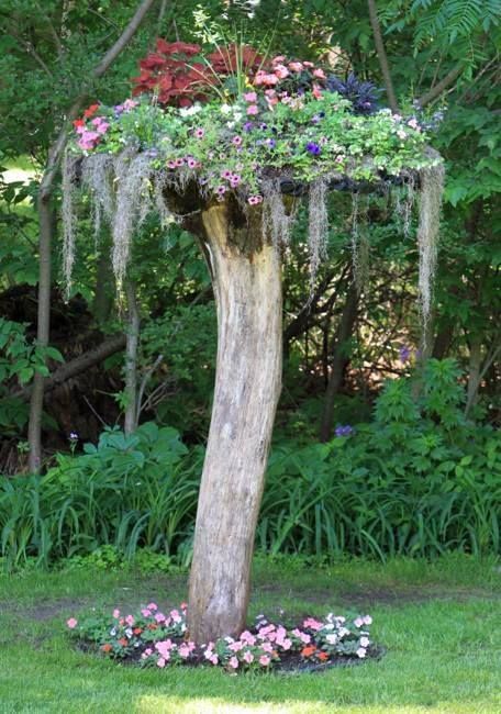 a tree with flowers growing on it in the middle of some grass and plants around it