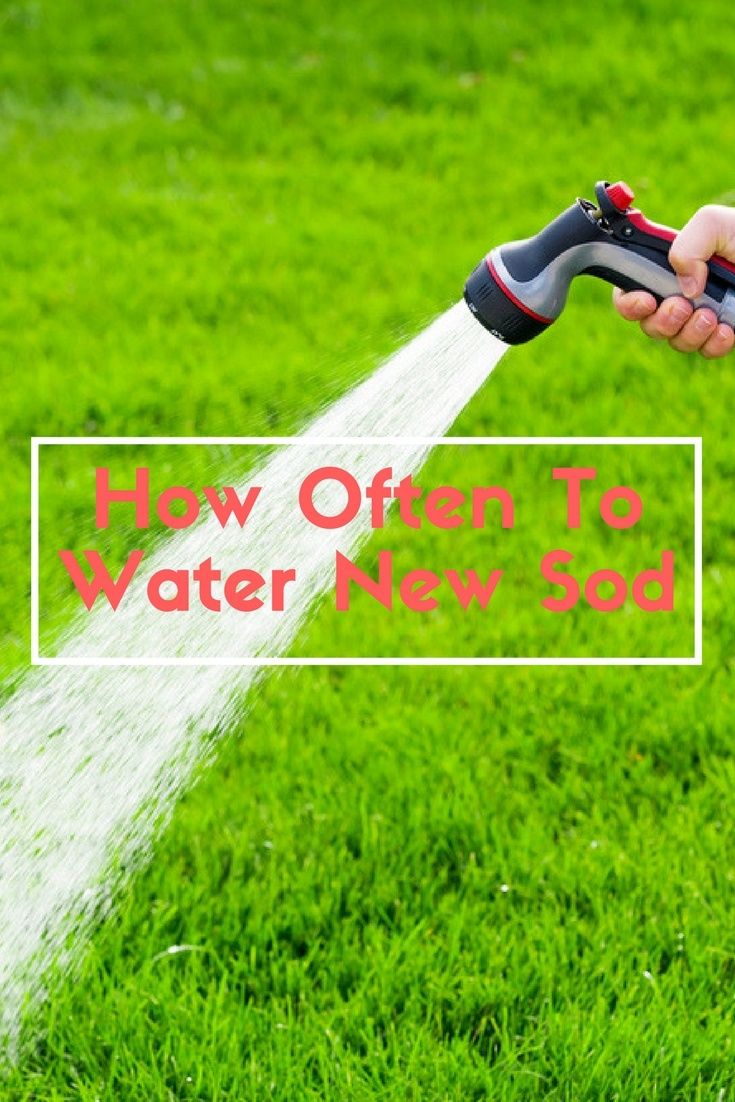 a person is spraying water from a hose in the grass with text overlay that reads how often it's not new so far