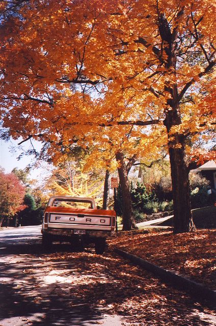 the truck is parked on the side of the road in front of trees with orange leaves