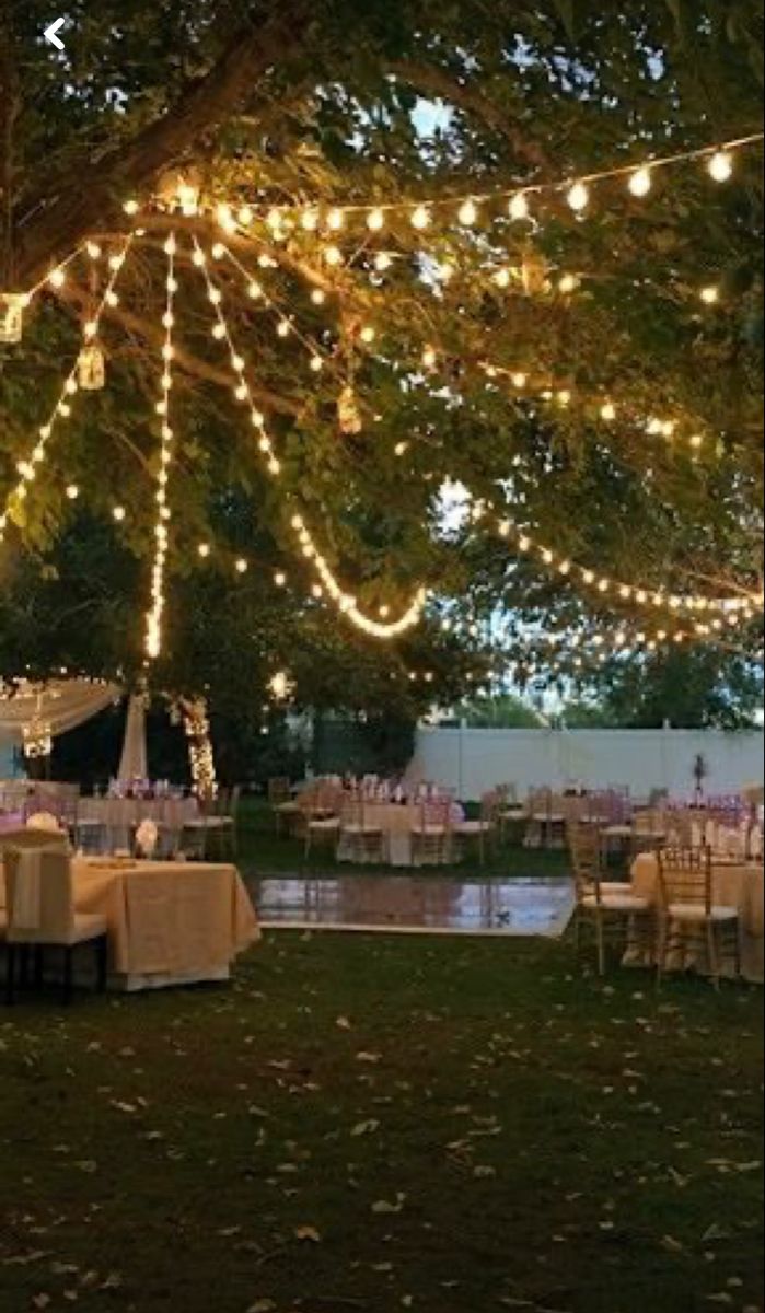 tables and chairs are set up under the trees for an outdoor wedding reception at dusk