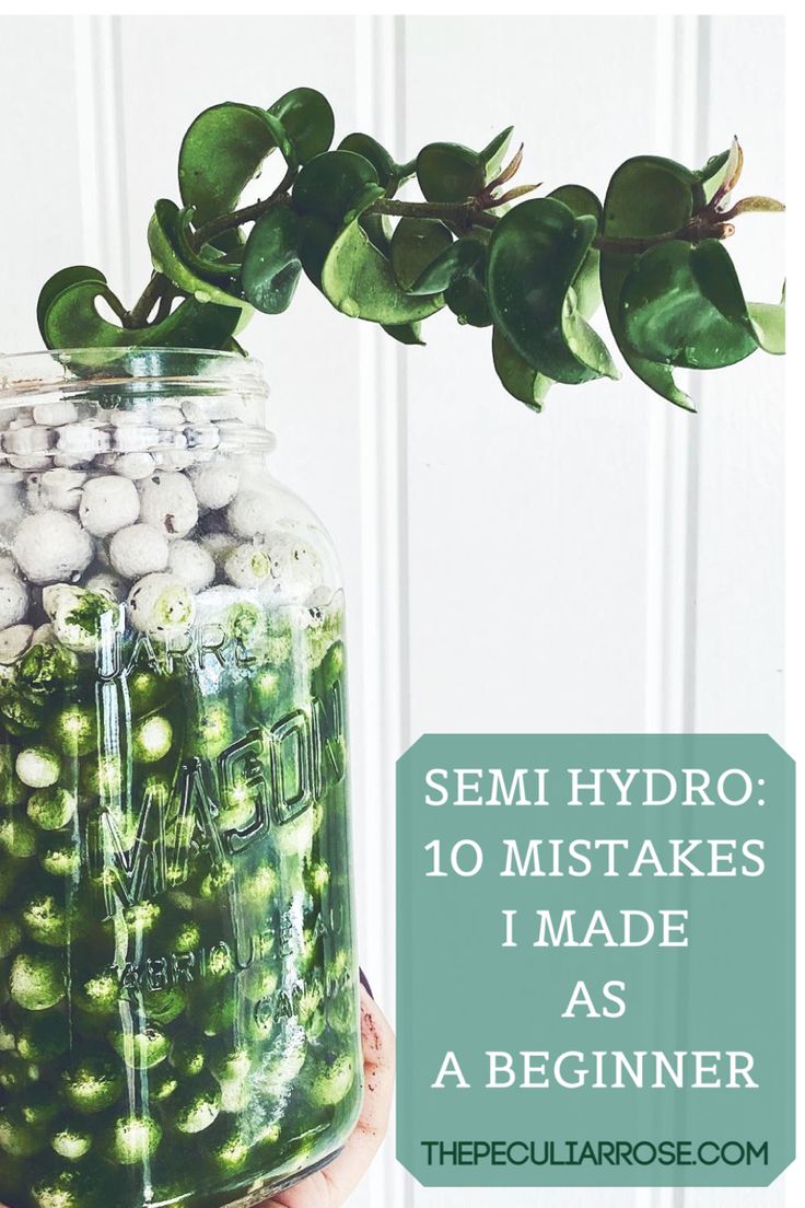 a jar filled with lots of green stuff next to a plant and the words sem hydro 10 mistakes i made as beginner