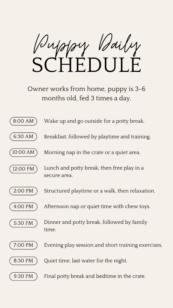 the happy baby schedule is displayed in black and white