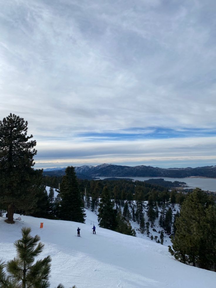 two people skiing down a snowy hill with trees on both sides and mountains in the distance