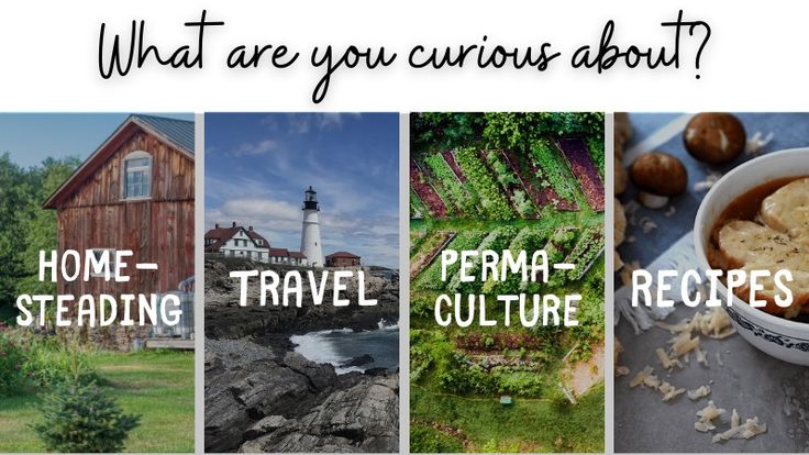 Life Lived Curiously | Homesteading, Recipes, & Travel