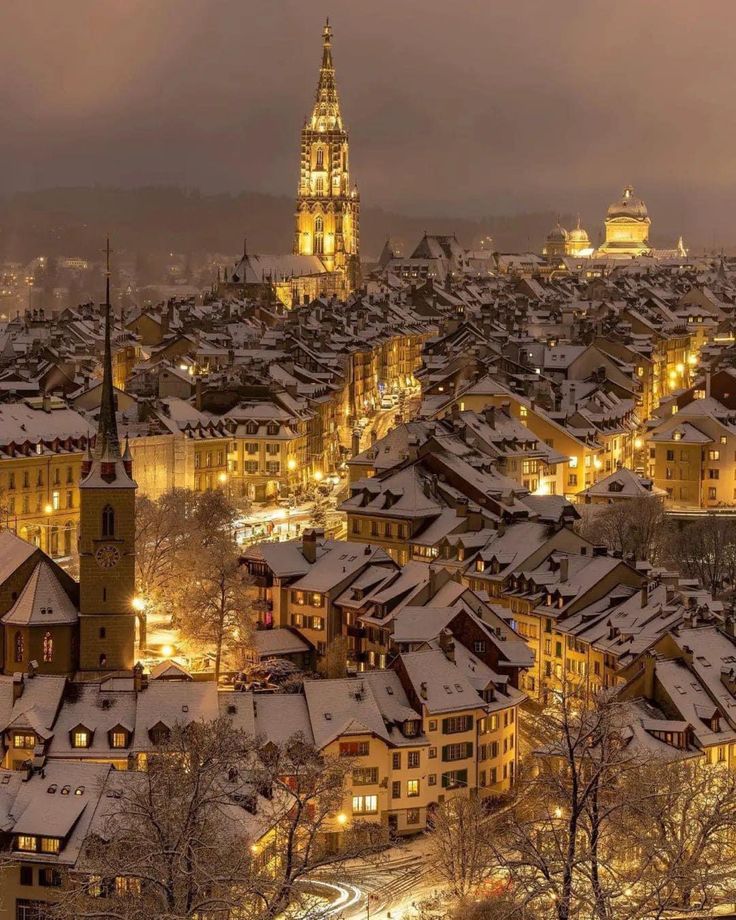 the city is covered in snow and lit up with street lights, buildings, and spires