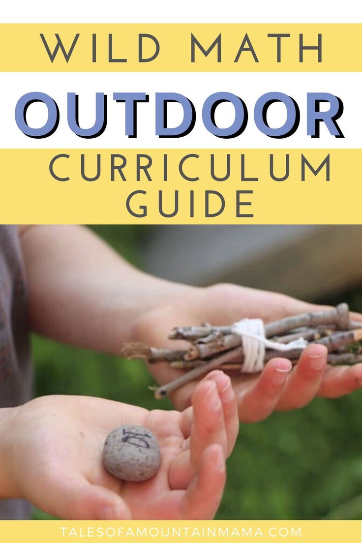 two hands holding twigs with text overlay reading wild math outdoor curioum guide