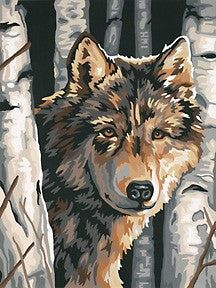 Dimensions Puzzles 91325 Wolf among Birches Paint by Number (9x12) Paint Pictures, Wolf Painting, Acrylic Paint Set, Forest Painting, Art Texture, A Wolf, Wolf Art, Arte Animal, Paint By Number Kits