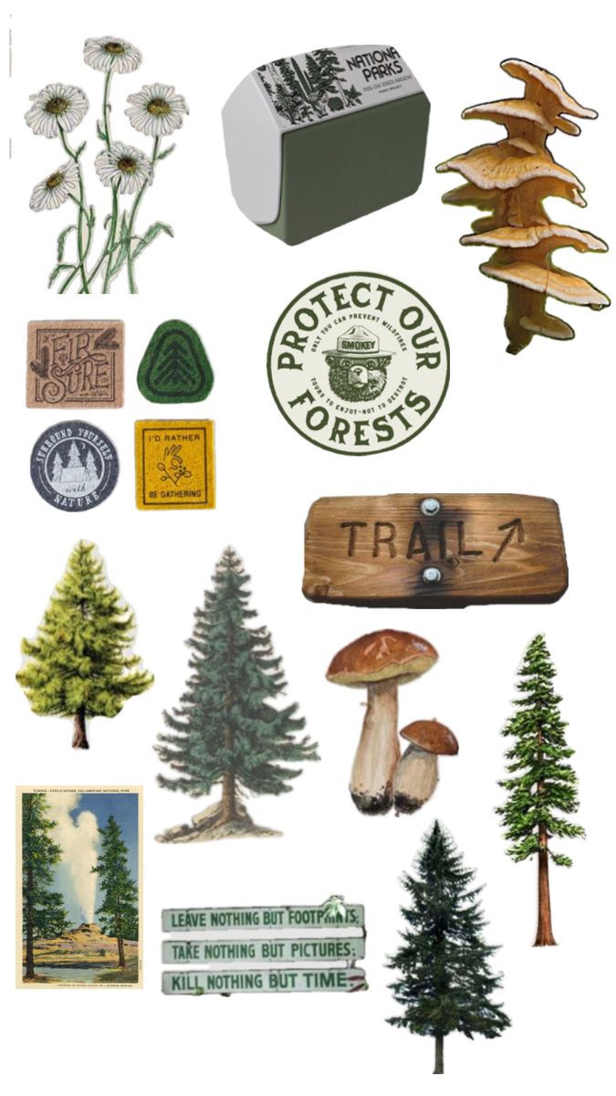 various stickers that include trees, mushrooms and other things