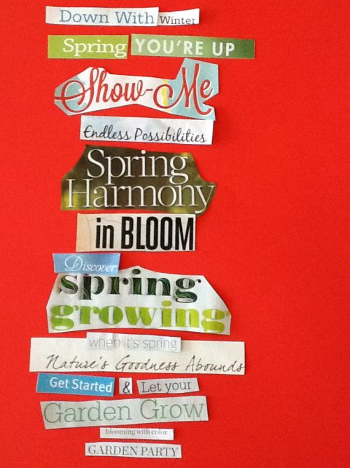 a bunch of different types of paper on a red background with the words spring in bloom