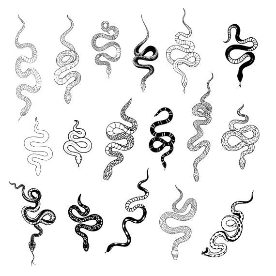 Small Snakes Tattoo, Snake Ideas Tattoo, Snake Tatoos Ideas, Snake Tattoo Design Draw, Small Snake Back Tattoo, Snake Tattoos Hands, Small Tattoo Ideas Snake, Tiny Tattoos Snake, Snake Around Finger Tattoo