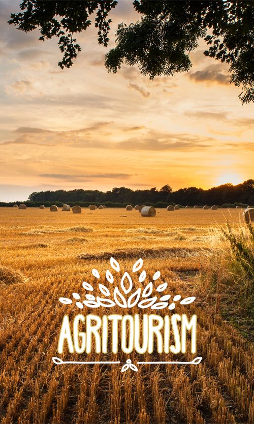 the logo for agrittourism is shown in front of a wheat field at sunset