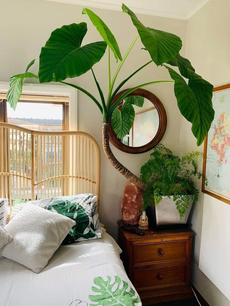 a bedroom with a bed, plant and mirror