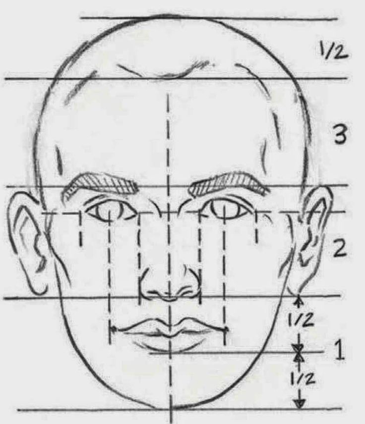 a drawing of a man's face is shown with the height and width chart