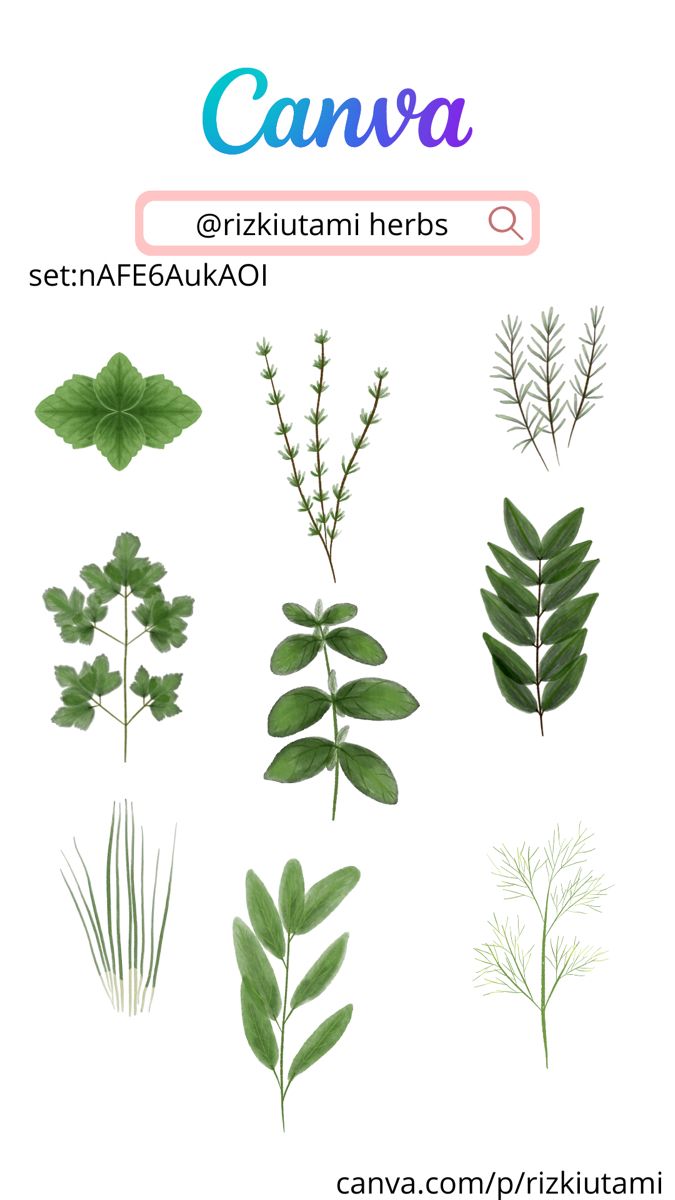 the different types of leaves are shown in this poster