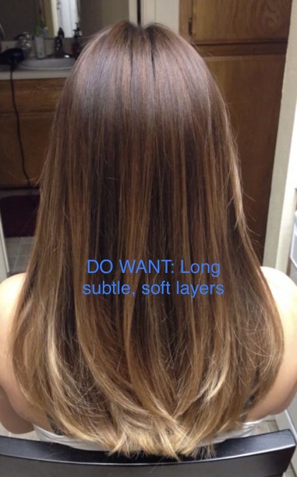 Soft Layering Hair, Rounded Ends Haircut, Round Layers Haircut Straight Hair, Long Hair Back View Straight, Subtle V Haircut, 2023 Haircut Medium, End Layers Long Hair, V Shaped Layers Medium, Straight Trim Haircut