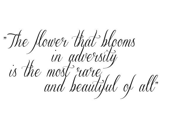 the flower that blooms in adversity is the most rare and beautiful of all