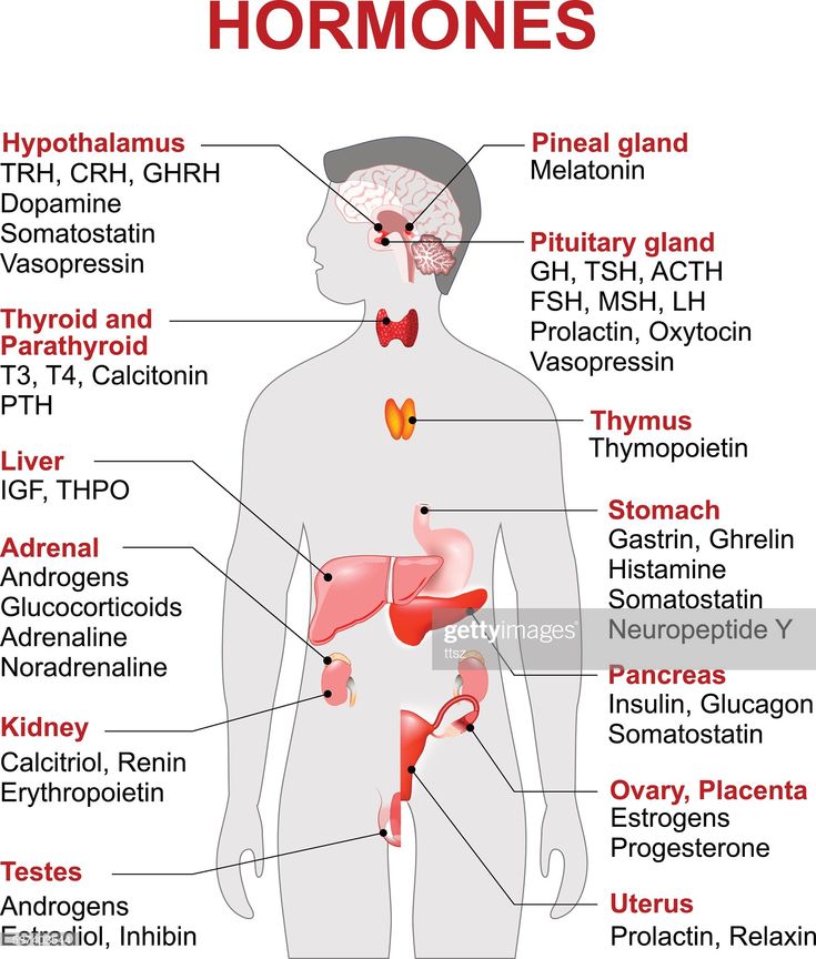 the anatomy of the human body with labels