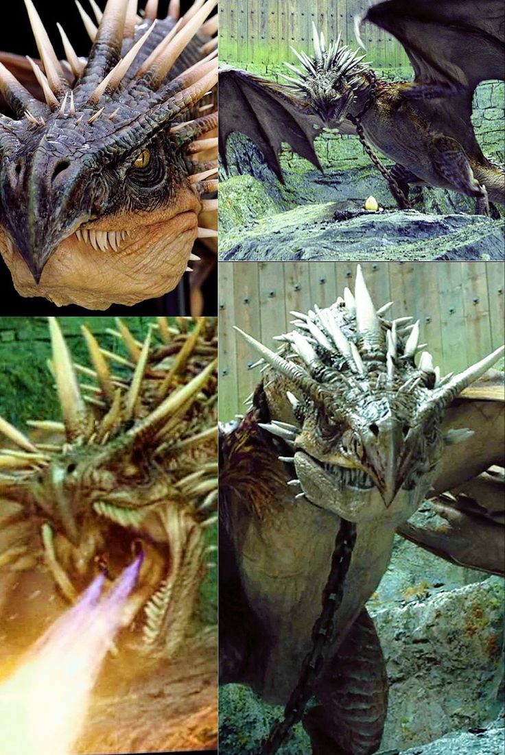 four pictures of different types of dragon like creatures