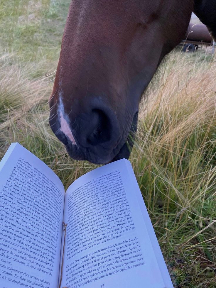 a brown horse standing next to an open book on top of a grass covered field