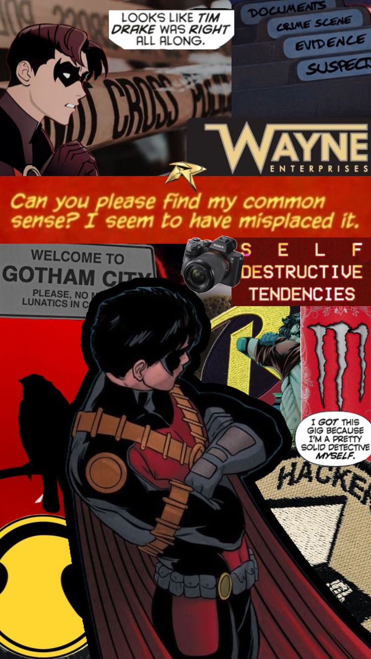 an image of a comic book cover with batman and batgirl in the background that reads, can you please find my common sense? i seem to have replaced it