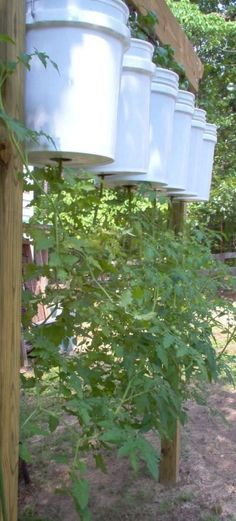 several white buckets hanging from a wooden fence