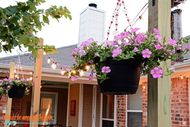 two hanging flower baskets filled with pink flowers on the front porch of a house at dusk