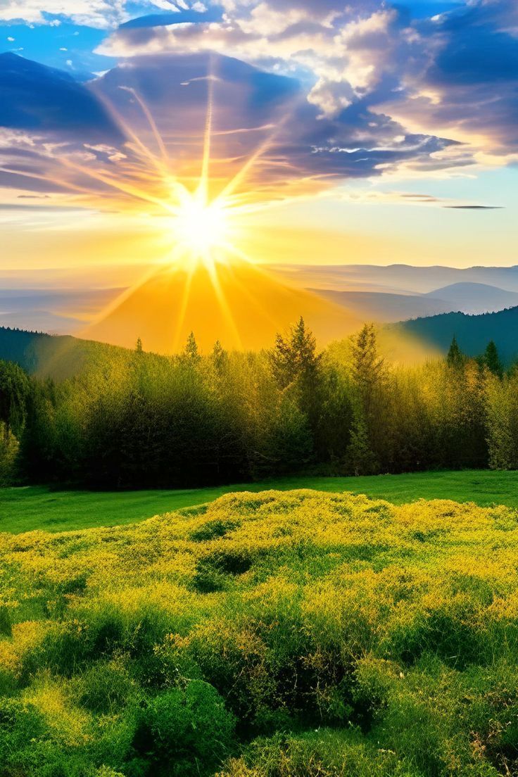 the sun is setting over a grassy field with trees in the foreground and mountains in the background