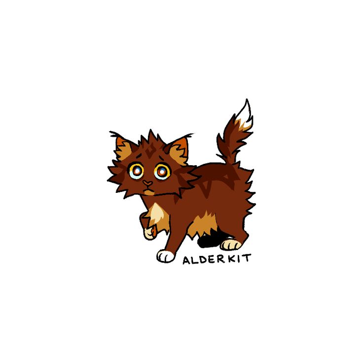 a brown and white cat with big eyes on it's face, standing next to the word alderktt