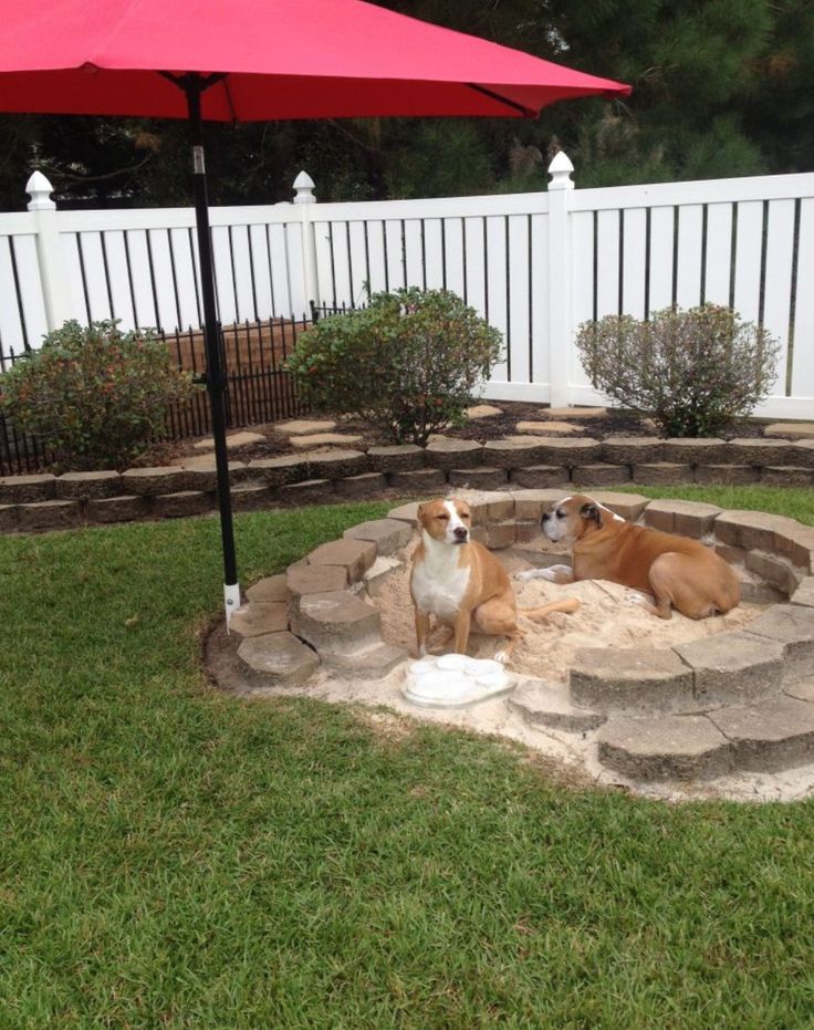 two dogs are sitting in a fire pit under an umbrella on the grass near a fence