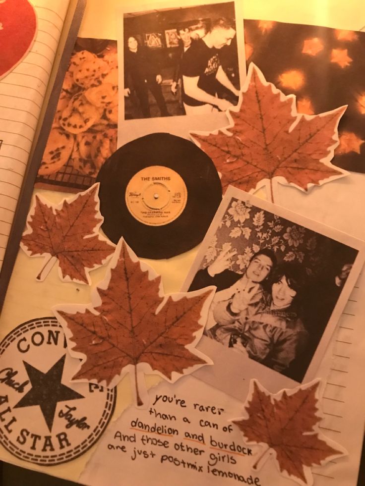 an open book with many different pictures and leaves on it's cover, along with a vinyl record