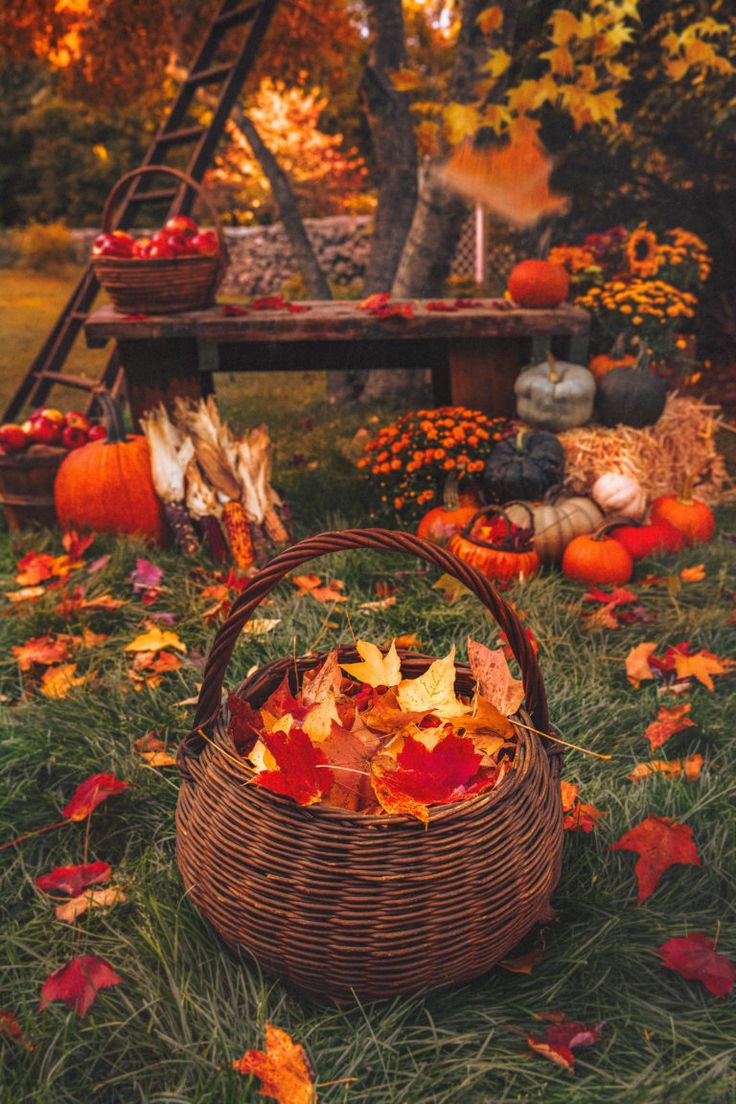 a basket filled with leaves sitting on top of a lush green field next to pumpkins